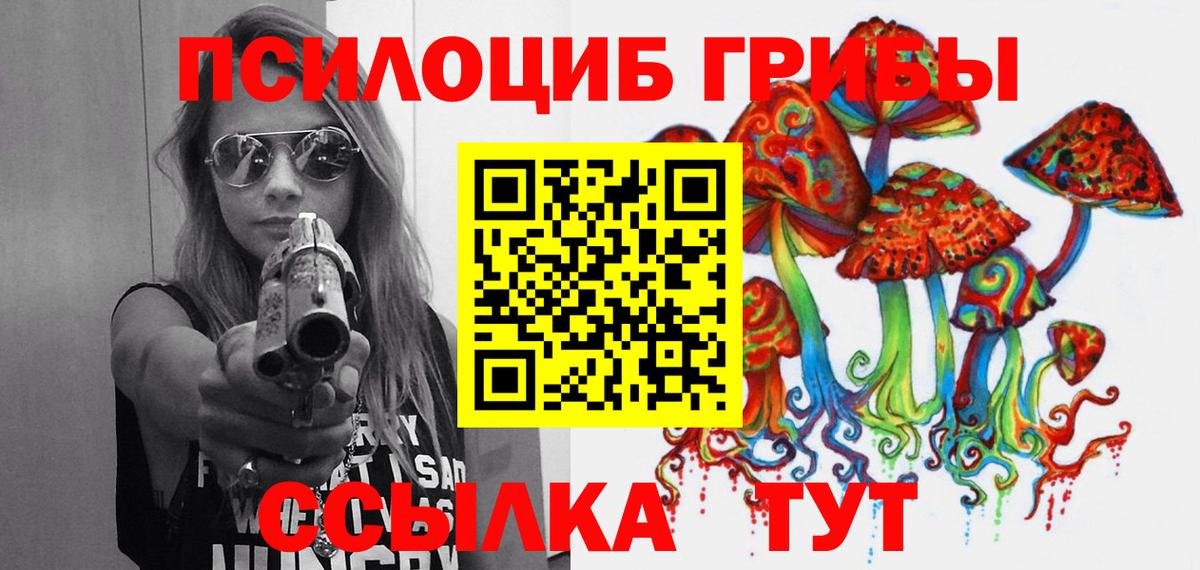 Протвино  Галлюциногенные грибы GOLDEN TEACHER  Вход с VPN 